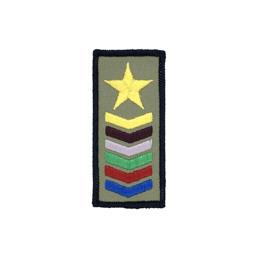 Pathfinder Master Guide Combined Chevron